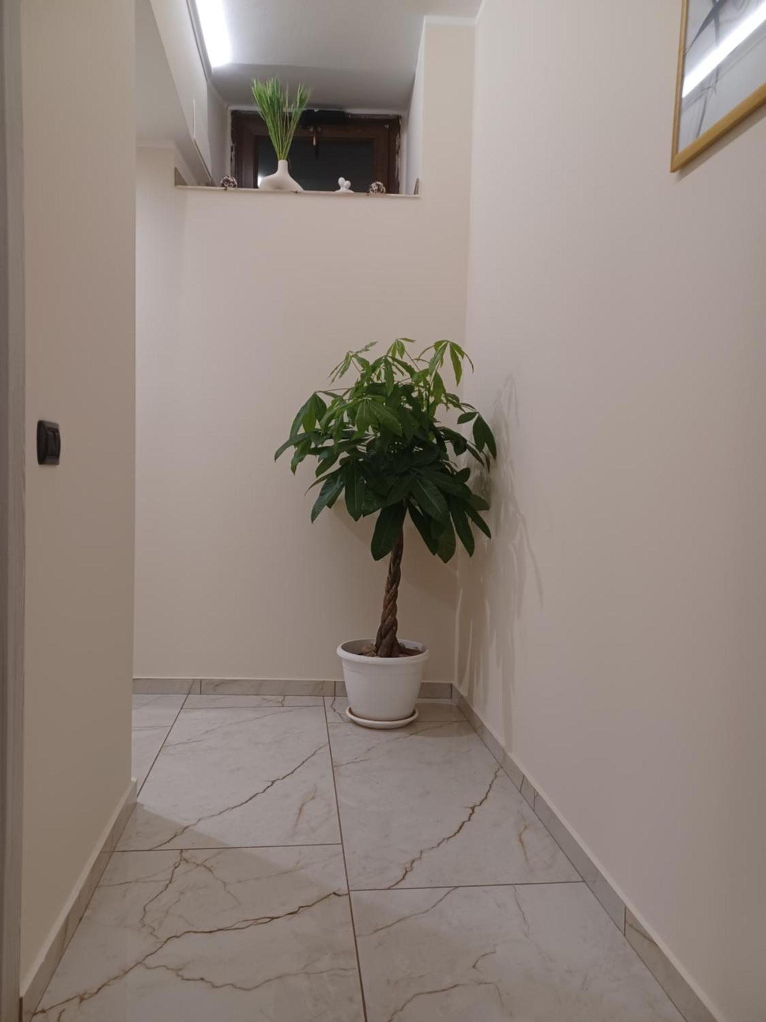 Soleil Hotell Nicosia Eksteriør bilde